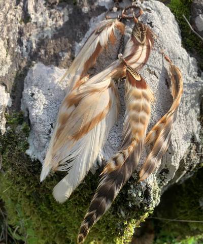 XL Long Feather Earrings Plugs 12mm image 6